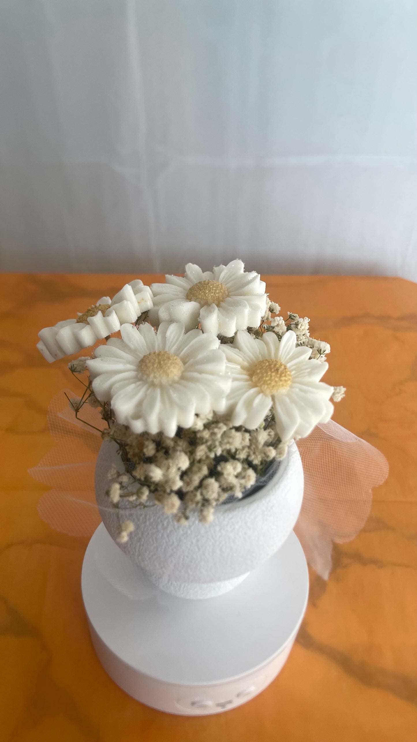 Small potted plant with white soap flowers on a wooden surface