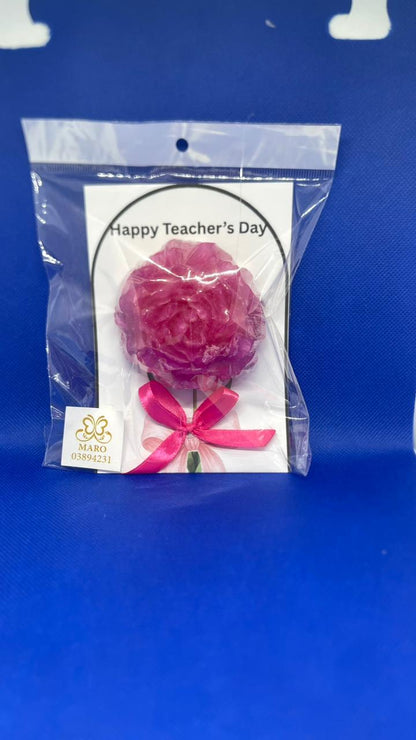 Pink flower with a bow in clear packaging on a blue background