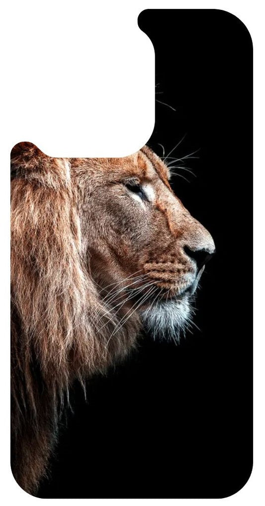 iPhone case 15pro