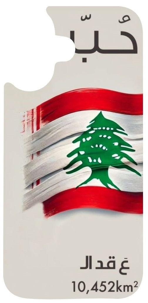 iPhone case 17